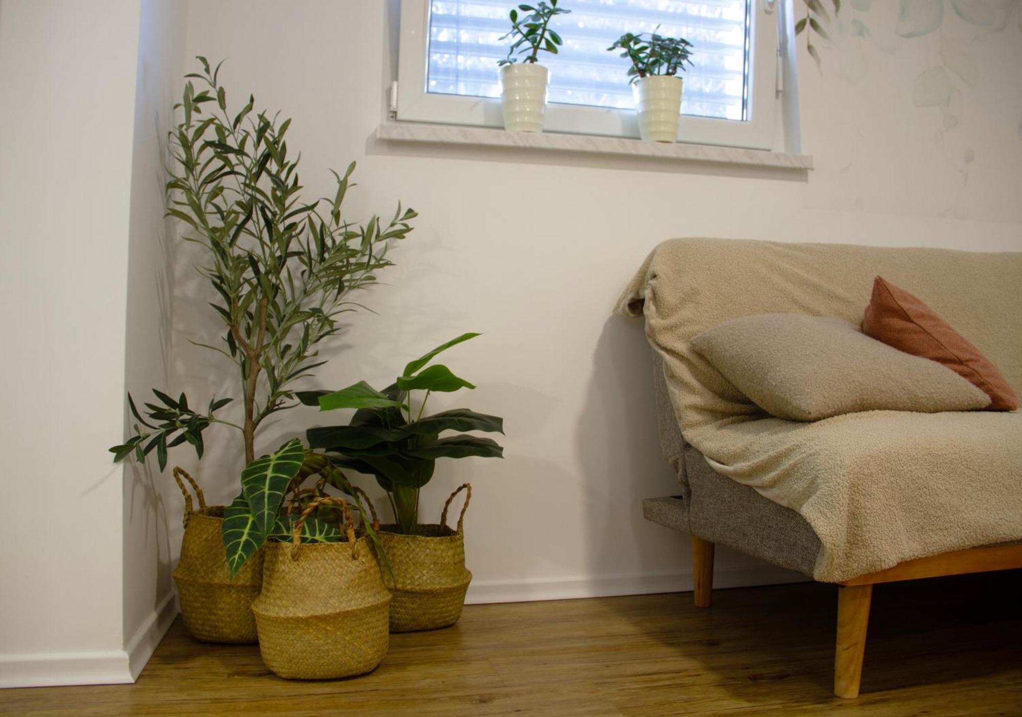 Appartement Poppqi's Polzela